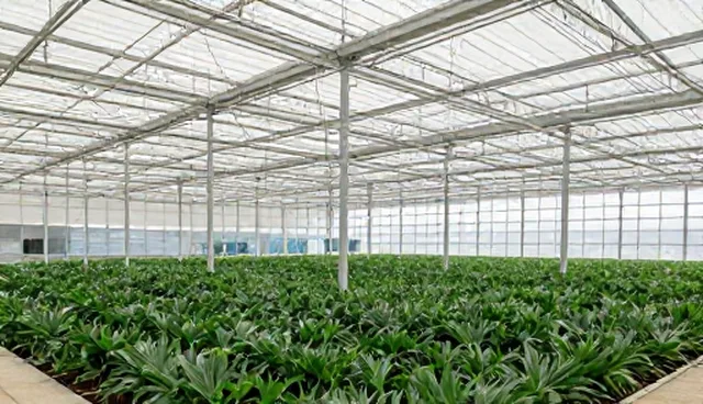 业务流程适配方案选型与使用建议